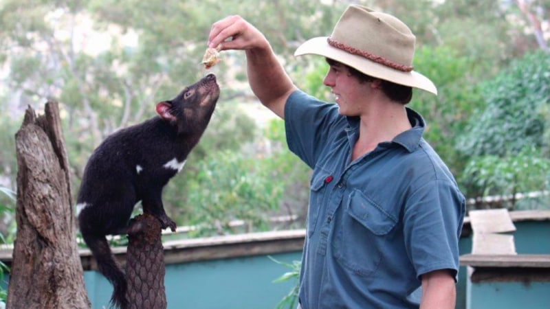 Visit the two most famous sights of Hobart in one fun day, Mt Wellington Summit and the famous Tassie Devils! Learn the story of Hobart’s history through an engaging DVD presentation and hear great local stories from our Tassie guides as you travel both sides of the Derwent River!
